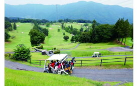 【ふるさと納税】C-008 長瀞カントリークラブ平日2名様プレー券