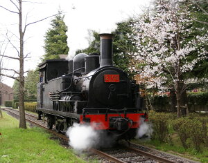 yӂ邳Ɣ[Łz{HƑw̓SԗƂƂBew샍{bgujgv`ӂ邳Ɣ[ł̓ʎBeI`