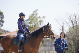 【ふるさと納税】乗馬体験1回コース◆東武乗馬クラブ＆クレイン◆