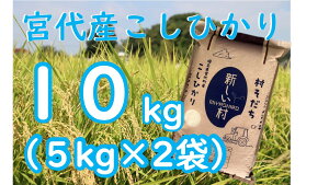 �y�ӂ邳�Ɣ[�Łz�{�㒬�̐V�������ň�Ă� �R�V�q�J���u���������v�ߘa7�N�Y�V�� 10kg