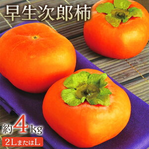 yӂ邳Ɣ[ŁzY` 4kgy2025N10{zbʕ ܂  lp Ê`  Mtg 蕨 [0354]