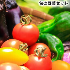 【ふるさと納税】旬の野菜セット｜新鮮 産直 農家 直送 野菜 埼玉 杉戸 [0206]