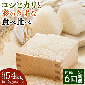 yӂ邳Ɣ[Łz[ց^6] V RVqJƍʂ̂ Hה׃Zbg v54kg (9kg×6)b  R   ͂  AOp[N   蕨 i 