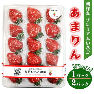 yӂ邳Ɣ[Łz[s\]s܂t̂ v~A (IׂpbNF1pbN^2pbN)b IWi i x  Â  C`S SugarBerry  [0680-0682]