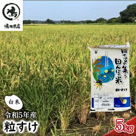 【ふるさと納税】米 令和5年 新品種 粒すけ 5kg 千葉産 白米　【 お米 こめ コメ おこめ 】　【 お米 こめ コメ おこめ 】