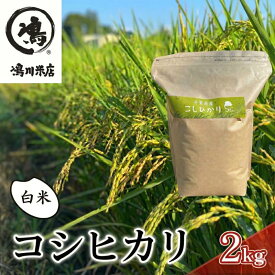 【ふるさと納税】千葉産 コシヒカリ 白米 2kg　【 お米 コシヒカリ 米 白米 2kg 】