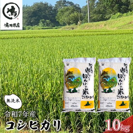【ふるさと納税】新米　令和7年 コシヒカリ　無洗米　10kg お米 精米 粘りつやつや 甘み 美味しい 新鮮