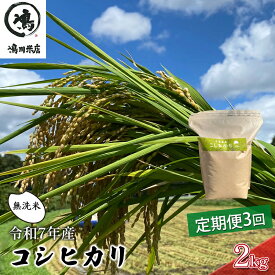 【ふるさと納税】令和7年 3ヶ月定期便　コシヒカリ　無洗米　2kg　【定期便 お米 無洗米 粘り甘み】 精米 粘りつやつや 美味しい 新鮮