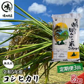 【ふるさと納税】令和5年産　3ヶ月定期便　コシヒカリ　無洗米　5kg　【定期便 お米 白米 粘り甘み】　【定期便・ お米 精米 粘りつやつや 甘み 美味しい 新鮮 】　お届け：2024年8月31日まで