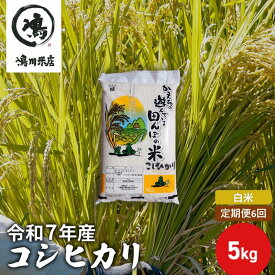 【ふるさと納税】令和7年産　6ヶ月定期便　コシヒカリ　白米　5kg【定期便 お米 白米 粘り甘み】 精米 粘りつやつや 美味しい 新鮮