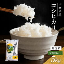 楽天市場】ふるさと納税 千葉県産 コシヒカリ 無洗米の通販