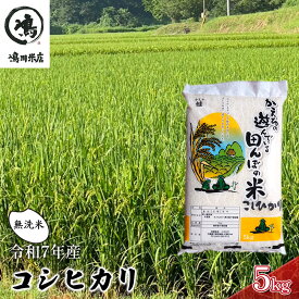【ふるさと納税】令和7年 コシヒカリ　無洗米　5kg お米 精米 粘りつやつや 甘み 美味しい 新鮮