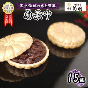 yӂ邳Ɣ[ŁzeŒ@15y َq aَq aXC[c XC[c  َq   Qq kCY z