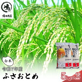 【ふるさと納税】令和7年 ふさおとめ　白米　10kg（5kg×2）【 お米 精米 大粒 粘り気 ファン 】 千葉県