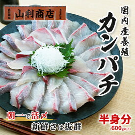 【ふるさと納税】千葉市場直送　朝一活〆！カンパチ半身分（スキンレスロイン）　【 魚貝類 冷蔵 柵 新鮮 刺身 養殖カンパチ しゃぶしゃぶ かんぱちの刺身 つまみ 肴 】　お届け：2024年1月中旬～2024年12月下旬