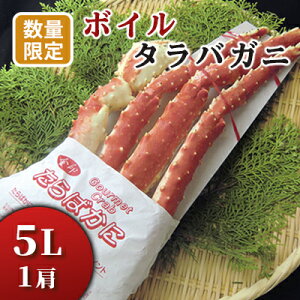 yӂ邳Ɣ[Łz{C^oVN5L Jj  I ^oKj ΊI 5l