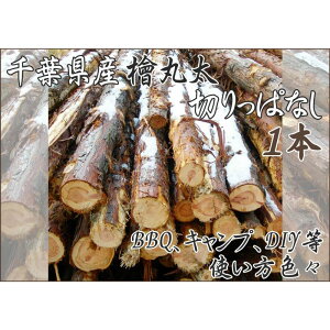 yӂ邳Ɣ[ŁztsY؂ςȂwۑ1{ BBQELvEXEF[fg[`EDIY̑fނƂĕ֗I Ђ̂  AEghA o[׃L[ d  Ύǂ d Xc[