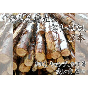 yӂ邳Ɣ[ŁztY؂ςȂwۑ3{BBQELvEXEF[fg[`EDIY̑fނƂĕ֗I Ђ̂  AEghA o[׃L[ d  Ύǂ d Xc[