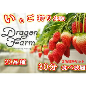 yӂ邳Ɣ[Łz2p`Pbg ̌`Pbg t[c eq qA t@~[ Hה o