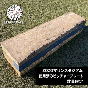 yӂ邳Ɣ[ŁzZOZO}X^WAgpς݃sb`[v[g 2024V[Ygpi CeA 싅 be }[Y LO v t