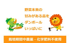 【ふるさと納税】2～4名様向け／野菜6種に加工品をプラス 野菜セット 野菜詰合せ 産地直送 旬の野菜 農園直送 食べ物 食品 グルメ 食卓 ベジタブル 国産 日本産 国産野菜