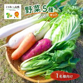 【ふるさと納税】1名様向け／野菜5種セット　【 野菜 野菜セット 野菜詰合せ 産地直送 旬の野菜 農園直送 食べ物 食品 グルメ 食卓 ベジタブル 国産 日本産 国産野菜 】