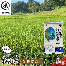 【ふるさと納税】令和7年産 粒すけ　定期便2か月　乾式無洗米　5kg お米