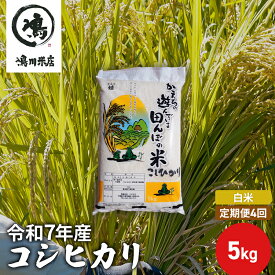 【ふるさと納税】【定期4ヶ月】コシヒカリ　白米　5kg　令和7年産 お米 銘柄米 ご飯 おにぎり お弁当 和食 食卓 精米 国産 千葉県産 産地直送