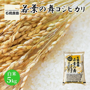 yӂ邳Ɣ[Łz t̕ RVqJ 5kg Ђ    t t ቷۑ