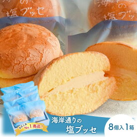 【ふるさと納税】海岸通りの塩ブッセ8個入 1箱 お菓子 焼菓子 スイーツ ブッセ 塩バター おやつ お取り寄せ お土産 手土産 お土産部門優秀賞受賞 稲毛海岸 千葉市 千葉県