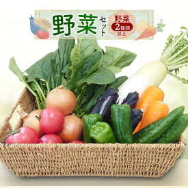 【ふるさと納税】野菜セット 野菜2種類以上 野菜 季節の野菜 セット 産地直送 新鮮 野菜農家 季節 詰め合わせ 産直 国産 お楽しみ おまかせセット 千葉市