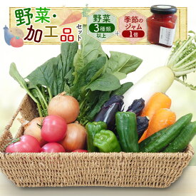 【ふるさと納税】野菜・加工品セット 野菜3種類以上＋季節のジャム1個 野菜 季節の野菜 セット 産地直送 新鮮 野菜農家 季節 詰め合わせ 産直 国産 お楽しみ おまかせセット 千葉市