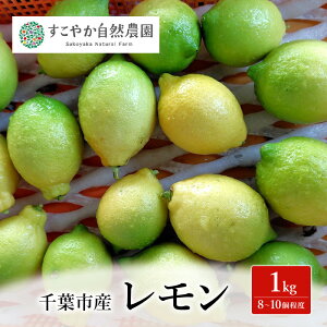 yӂ邳Ɣ[Łz 1kg ʕ t[c Y ts