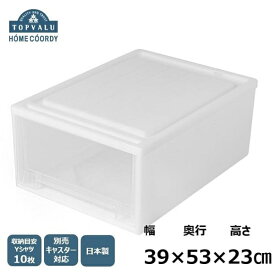 【ふるさと納税】ホームコーディ クローゼットケース 浅型