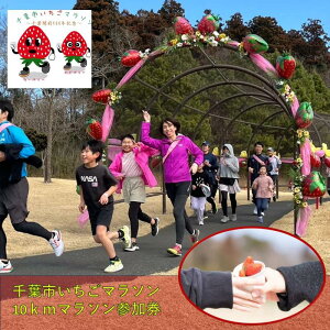yӂ邳Ɣ[Łzts}\10km}\Q@Ԍ@`Pbg ̌ Q }\ 10km ̂yY Zȏ ʌ ts t@͂F2026N127`210