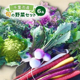 【ふるさと納税】旬の野菜セット 6品 野菜 野菜セット 野菜詰め合わせ 詰め合わせ やさい 千葉市 千葉県