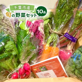 【ふるさと納税】旬の野菜セット 10品 野菜 野菜セット 野菜詰め合わせ 詰め合わせ やさい 千葉市 千葉県
