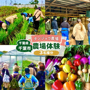 �y�ӂ邳�Ɣ[�Łz�^���W���E�_�� �_��̌� �Ƒ�3���l�� �̌� �_�Ƒ̌� �`�P�b�g �����` �X�C�[�c ��؂̂��݂₰�t ��t�s ��t��