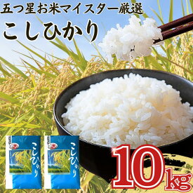 【ふるさと納税】 新米 令和7年産 千葉県産 コシヒカリ10kg（5kg×2）【お米マイスター厳選】