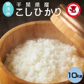 【ふるさと納税】【無洗米】コシヒカリ 10kg(5kg×2) 千葉県産 こしひかり