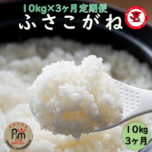 yӂ邳Ɣ[Łz 3  ߘa7NY ӂ 10kg i5kg×2܁j      ͂ ӂ Y t qs {X ٓ ɂ H H [H  