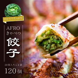 【ふるさと納税】 訳あり アフロキャベツ餃子 4袋 × 30個 合計 120個 餃子 ギョーザ ぎょうざ きゃべつ キャベツ 日本一 点心 豚肉 皮 ひ志お 醤油 具 焼き方 アレンジ タレ 味付け 野菜 夕食 ふるさと納税 ふるさと納税餃子 冷凍 送料無料 千葉県 銚子市 くるくるやっほー