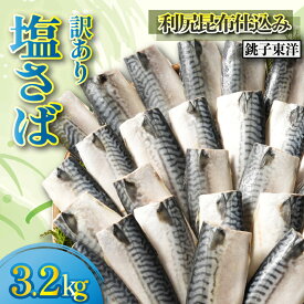 【ふるさと納税】 訳あり 塩さば フィレ 約3.2kg 利尻昆布 さば サバ 海鮮 魚 大容量 フィーレ 冷凍 塩鯖 魚貝類 鯖 魚介 魚貝 人気 和食 弁当 冷凍 たっぷり 規格外 冷凍 冷凍食品 贈答 贈り物 贈物 長期保存 小分け ふるさと納税 ふるさと納税鯖 千葉県 銚子市銚子東洋
