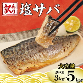 【ふるさと納税】 訳あり 塩サバ フィーレ 【選べる内容量】 約3kg 約3.5kg 約5kg 鯖 さば 大容量 人気 規格外 贈答 贈物 プレゼント ギフト お取り寄せ グルメ 焼鯖 惣菜 魚 海鮮 魚貝 魚介 冷凍 冷凍食品 ふるさと納税 ふるさと納税鯖 送料無料 千葉県 銚子市 銚子東洋