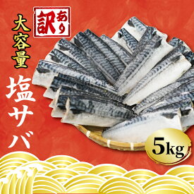 【ふるさと納税】 訳あり 塩サバ フィーレ 約 5kg 冷凍 おかず 惣菜 鯖 さば サバ 塩鯖 塩さば 塩サバ 潮さば 魚 海鮮 大容量 銚子東洋 おかず 千葉県 銚子市 ギフト 贈り物 冷凍食品 保存 切身 惣菜 焼き魚 焼魚 鯖フィーレ サバフィーレ さばフィーレ 規格外品 規格外