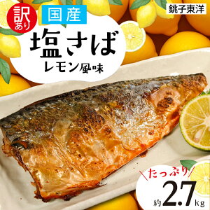 yӂ邳Ɣ[Łz 󂠂 Y   2.7kg I  I tB[ tB Y t t   L  CN Y lC Ⓚ  e s KiO A 