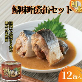 【ふるさと納税】 国産 鯖味噌煮 12缶セット 190g さば 鯖 味噌煮 缶詰 グルメ お取り寄せ 贈答 贈物 プレゼント ギフト 保存食 非常食 防災 キャンプ 備蓄 缶詰セット 詰め合わせ 青魚 健康 魚 魚貝 魚介 海鮮 ふるさと納税 ふるさと納税缶詰 常温 千葉県 銚子市 信田缶詰