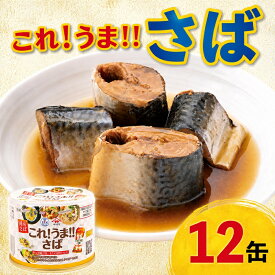 【ふるさと納税】 これ！！うま！！つゆ 使用 さば味付け缶 12缶セット さば 鯖 缶詰 詰め合わせ 缶詰め 缶詰めセット 常温 常温食品 つゆ ヤマサ 醤油 魚 魚貝 魚介 簡単 手軽 海鮮 非常食 常温食 備蓄 ふるさと納税 ふるさと納税缶詰 送料無料 千葉県 銚子市 信田缶詰