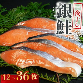 【ふるさと納税】 銀鮭 一夜干し 【選べる容量】 12～36枚 （5パック×3枚）干物 ひもの さけ 鮭 魚 海鮮 おかず つまみ 弁当 魚介 食品 冷凍食品 グルメ 贈答 贈り物 プレゼント ギフト お取り寄せ ふるさと納税 送料無料 千葉県 銚子市 10000円 株式会社甲印小西商店