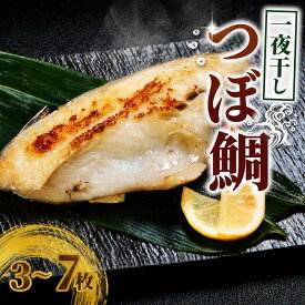 【ふるさと納税】 つぼ鯛 鯛 一夜干し3枚~7枚 たい つぼだい 干物 ひもの 個包装 脂乗り 脂のり抜群 脂たっぷり 肉厚 高級魚 贈答 贈答用 ギフト 脂乗り ふっくら 肉厚 旨味凝縮 贅沢 和食 老舗の味 ご褒美グルメ ふるさと納税 送料無料 千葉県 銚子市 株式会社甲印小西商店